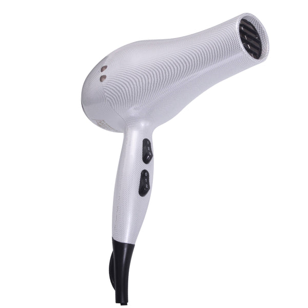 White Ionic Pro 2000 Dryer