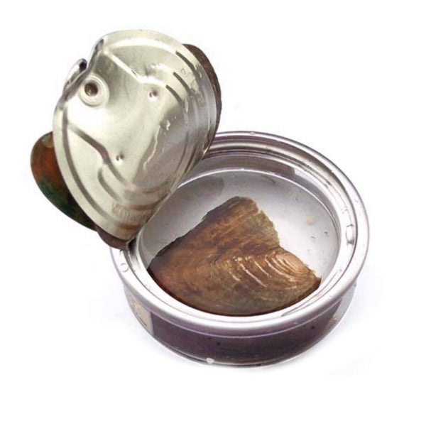 Wish & Love Pearl Necklace