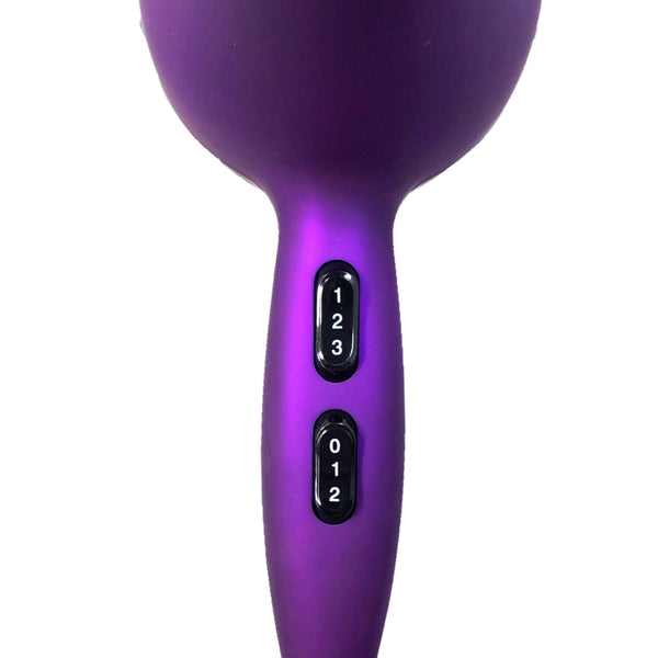 Metallic Purple Ionic Pro 2000 Dryer